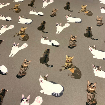 【K‧T FABRIC】唐貓cute moggie cotton printed oxford 純棉