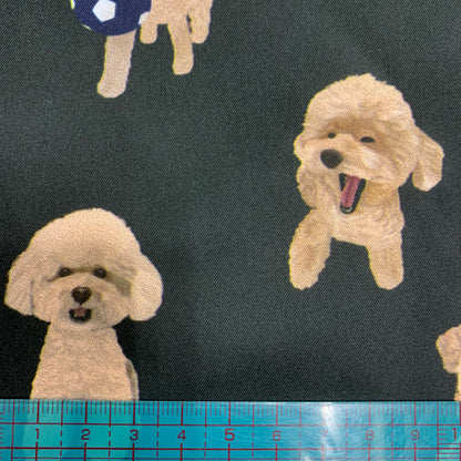 【K‧T FABRIC】貴婦狗 poodle waterproof fabric 防水布