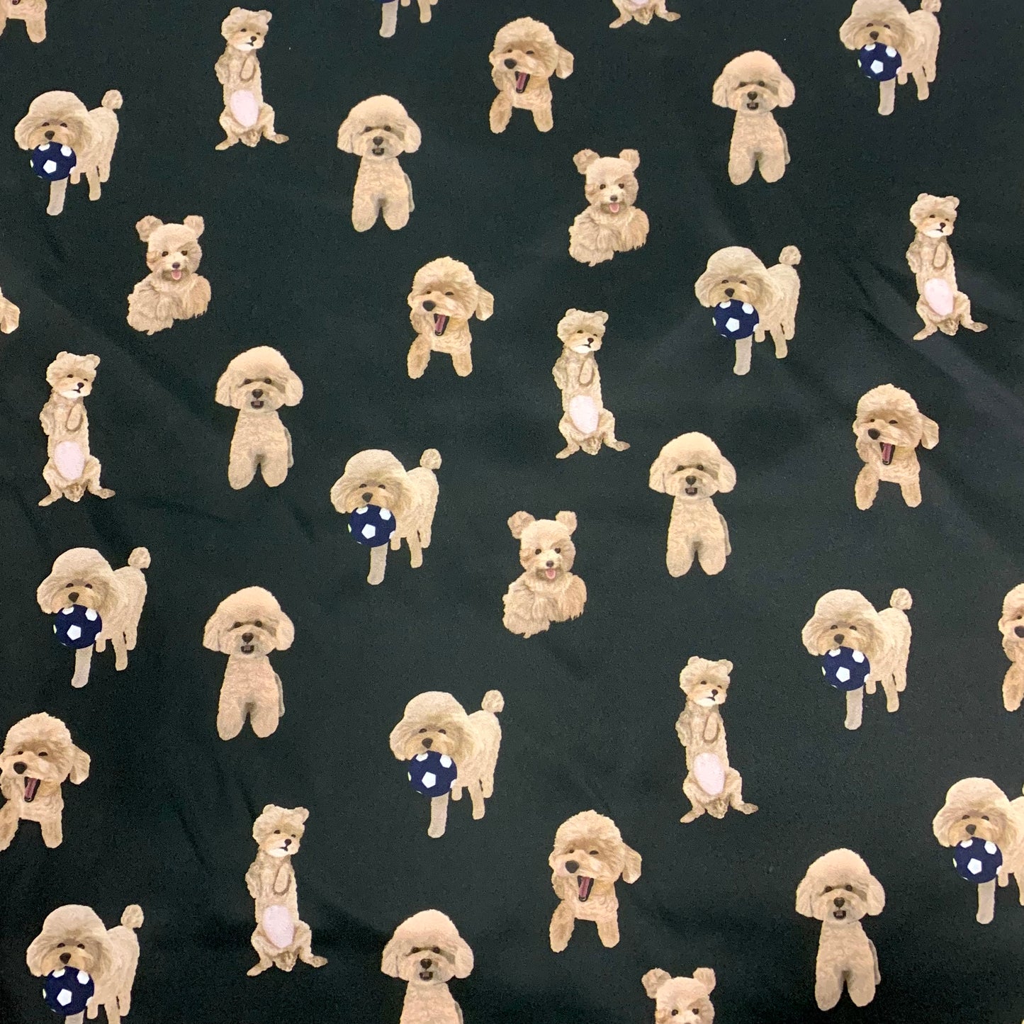 【K‧T FABRIC】貴婦狗 poodle waterproof fabric 防水布