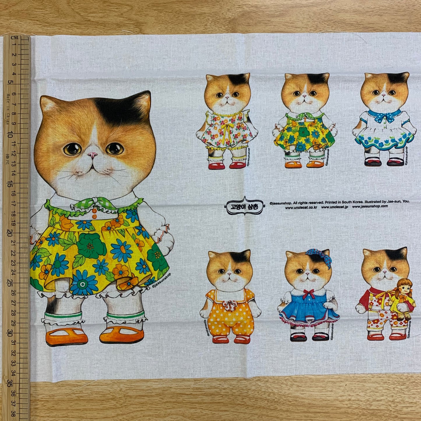 [韓國] 貓叔Unclecat A week of DALI 定位棉麻布