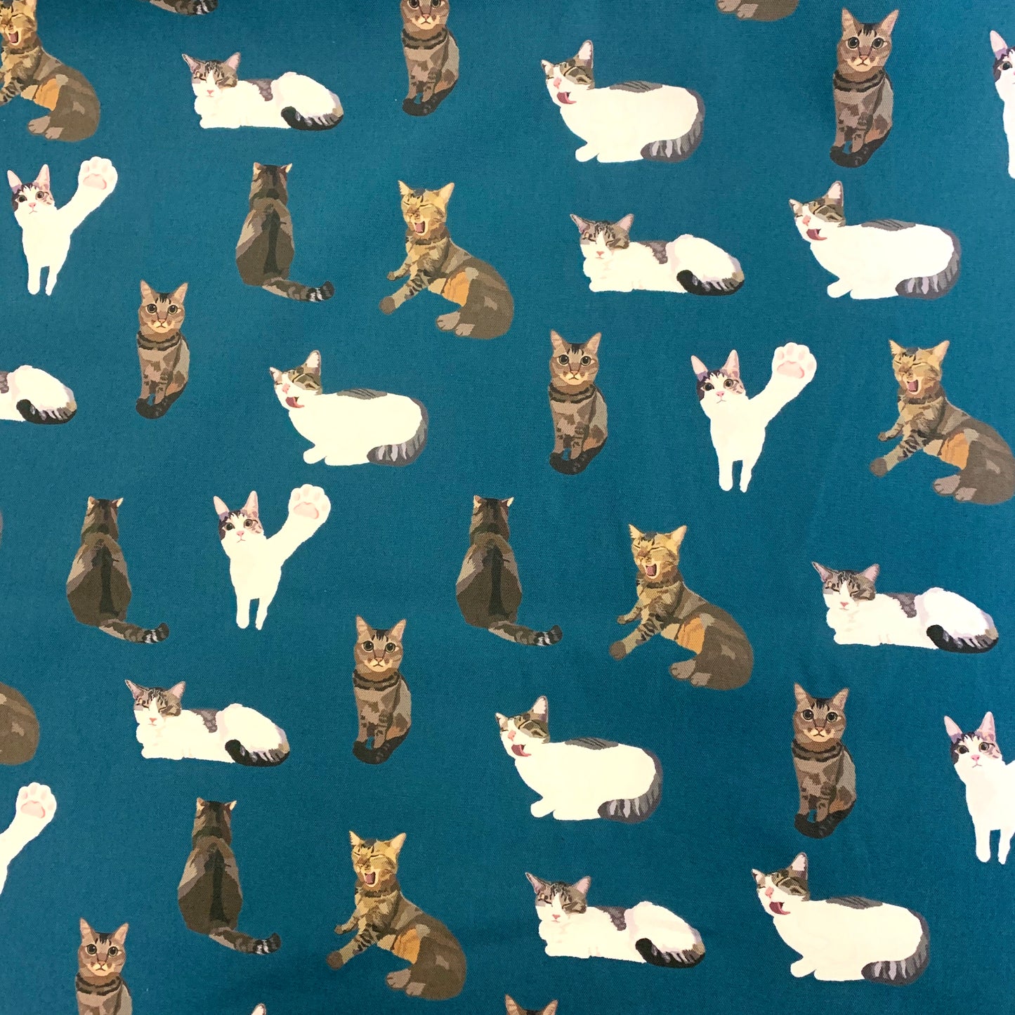 【K‧T FABRIC】唐貓cute moggie cotton printed oxford 純棉