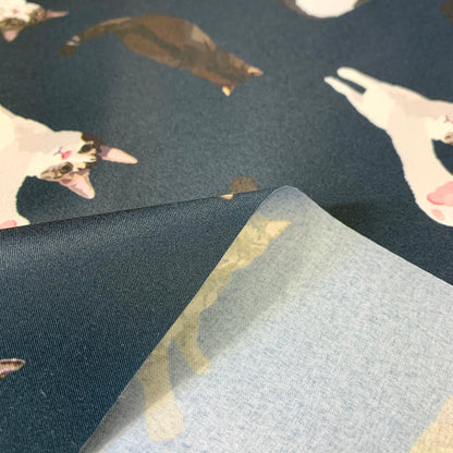 【K‧T FABRIC】唐貓 cute moggie waterproof fabric 防水布