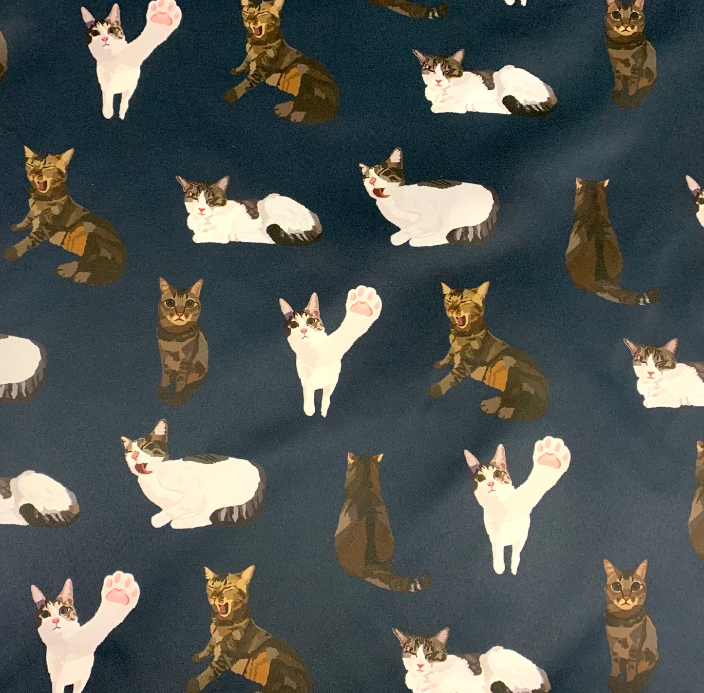 【K‧T FABRIC】唐貓 cute moggie waterproof fabric 防水布