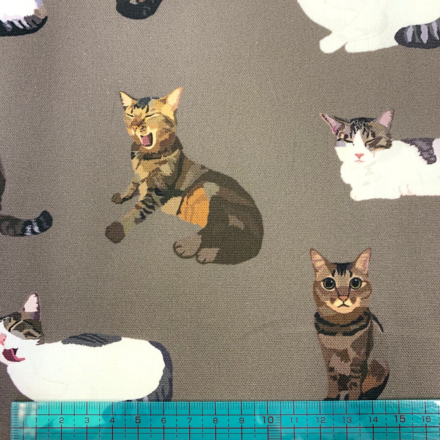 【K‧T FABRIC】唐貓cute moggie cotton printed oxford 純棉