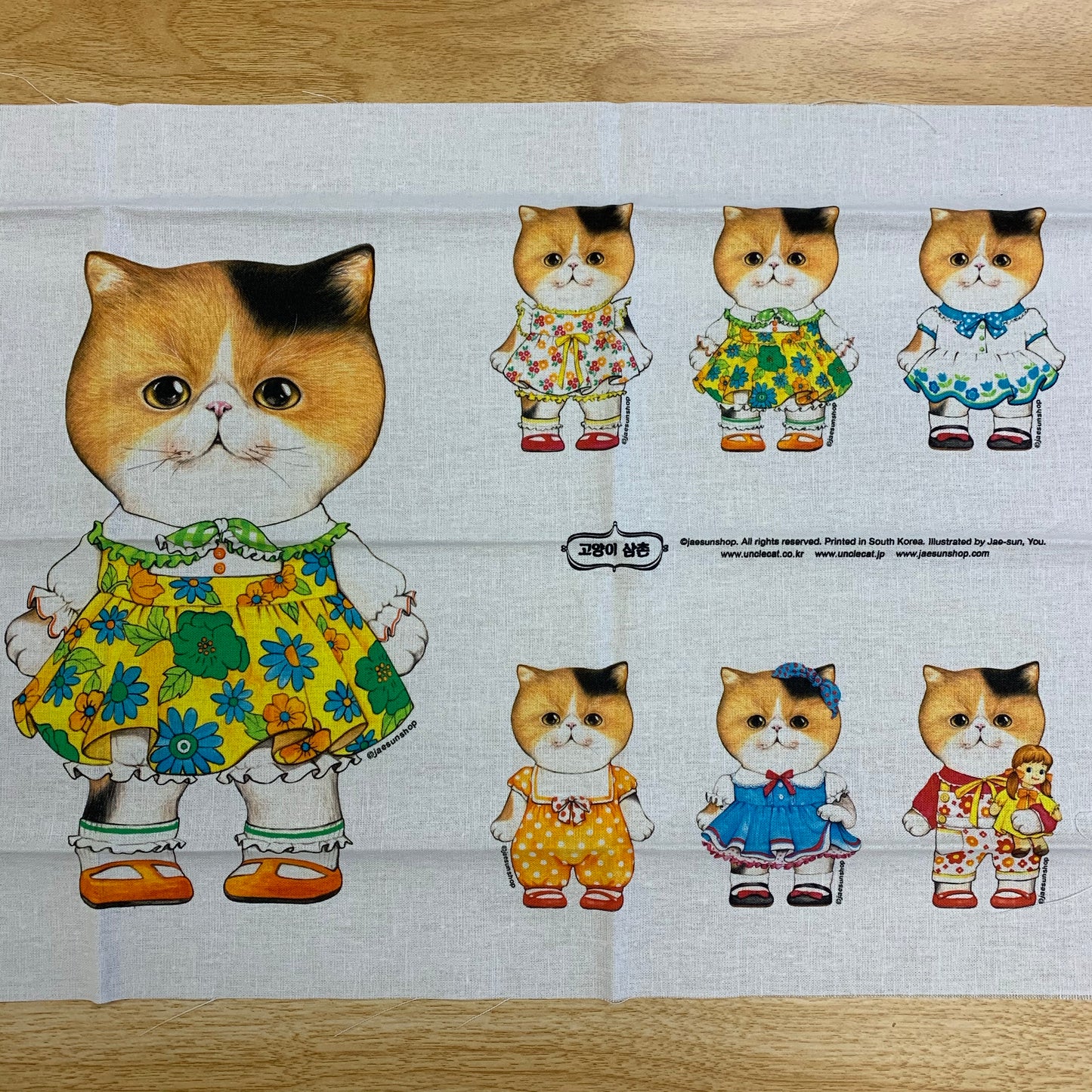 [韓國] 貓叔Unclecat A week of DALI 定位棉麻布