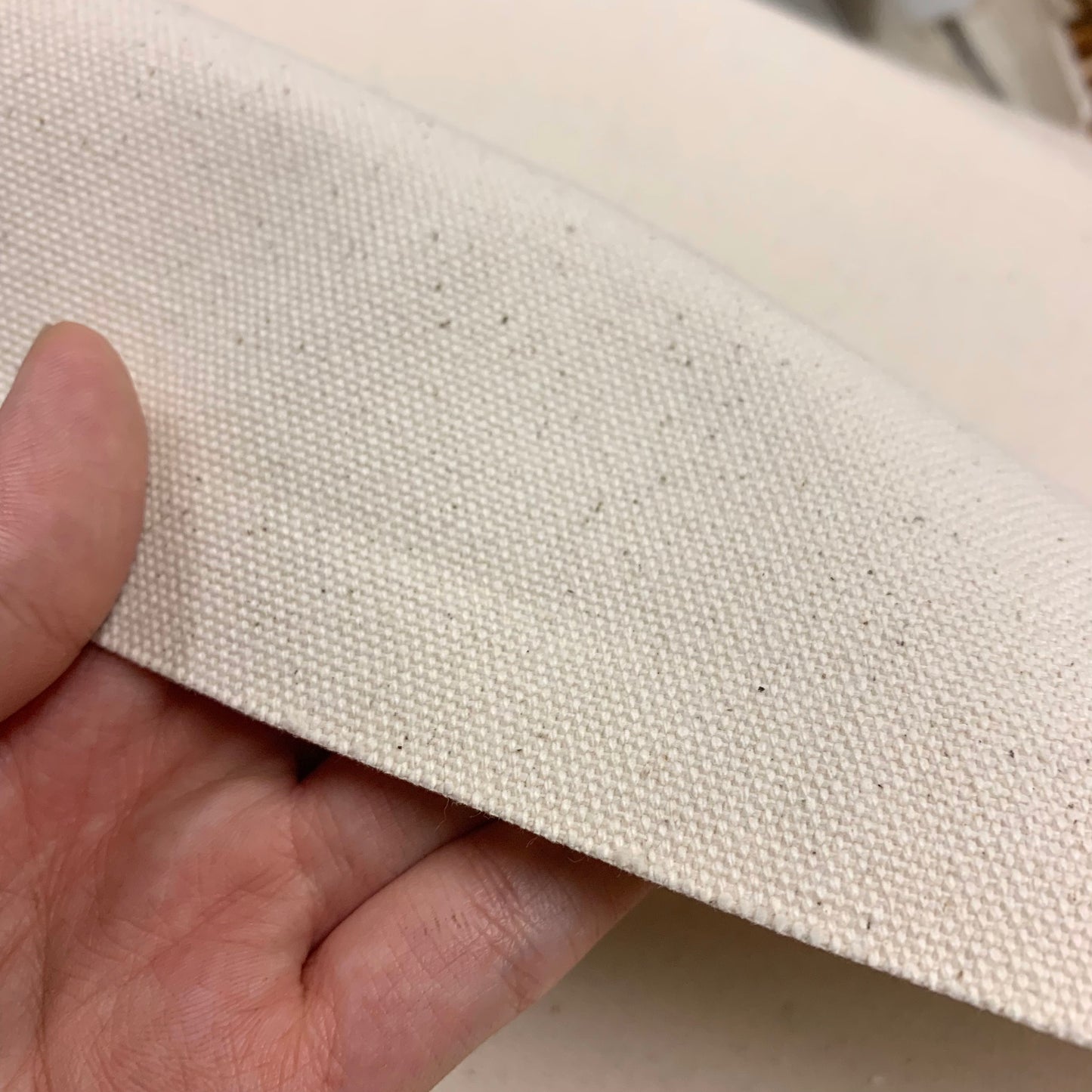 Japan | 淨色8號帆布 solid canvas no.8