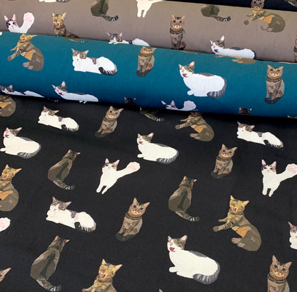 【K‧T FABRIC】唐貓cute moggie cotton printed oxford 純棉