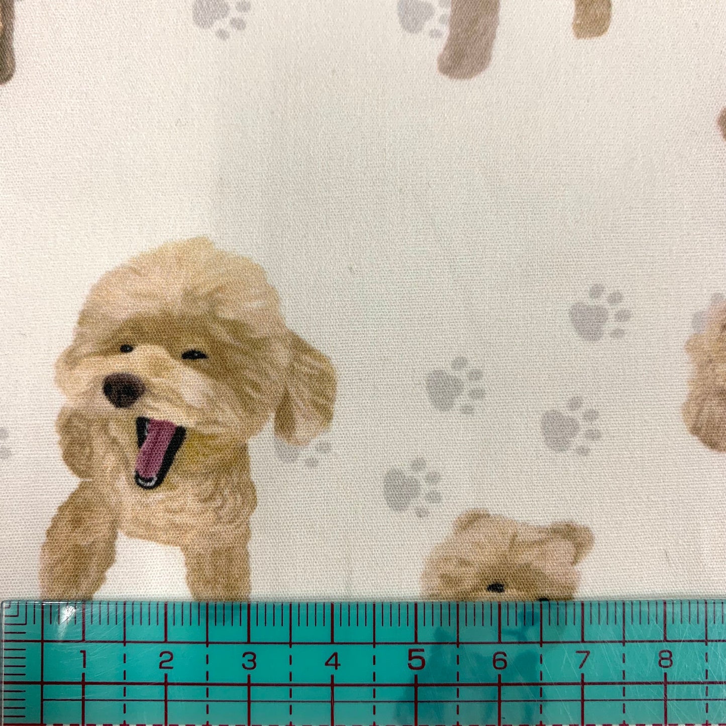 【K‧T FABRIC】貴婦狗 poodle cotton printed sheeting 純棉